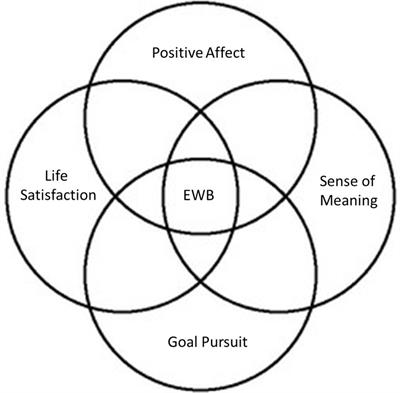 Brain imaging studies of emotional well-being: a scoping review
